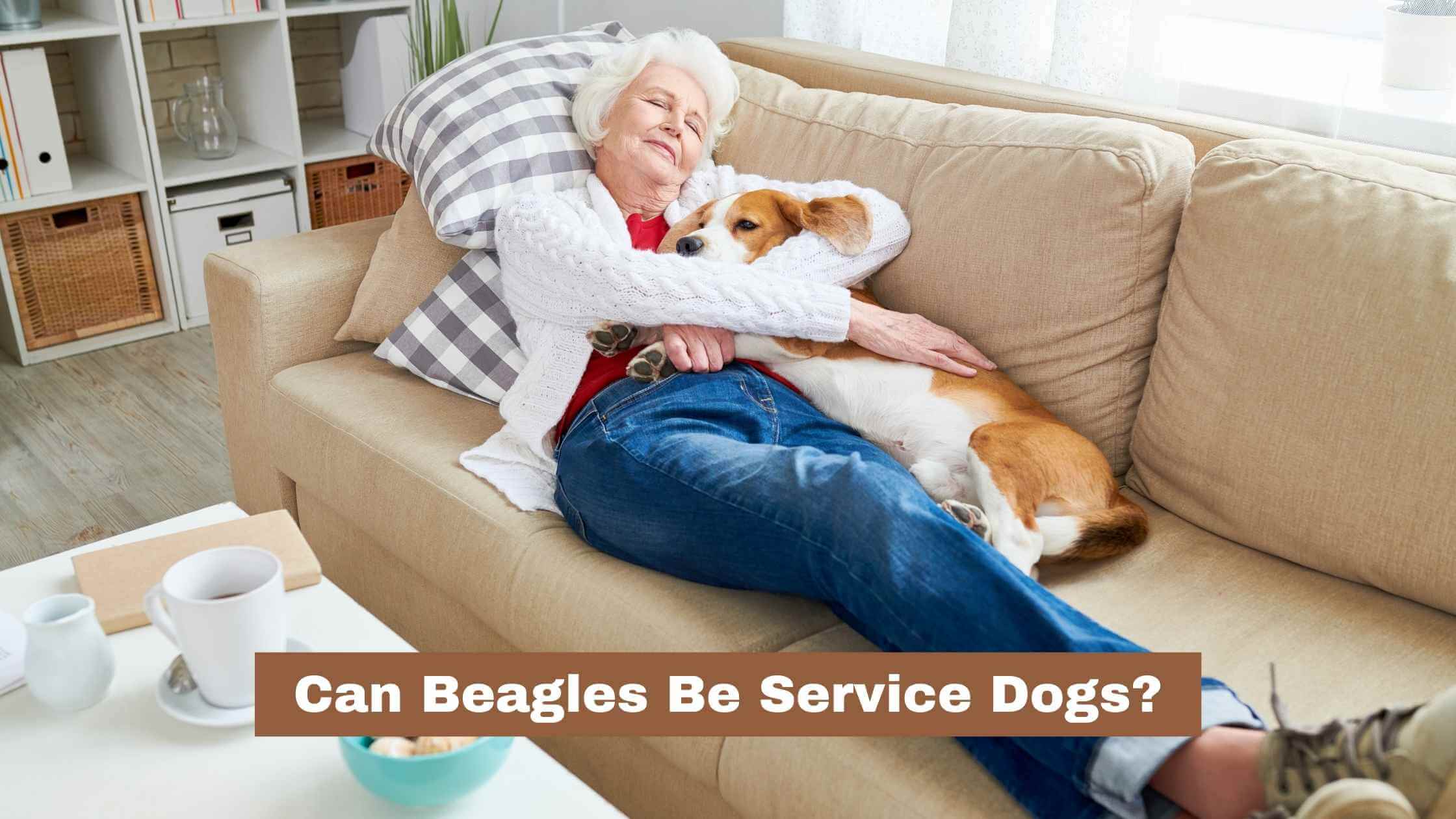 Can Beagles Be Service Dogs